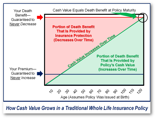 what is whole of life insurance